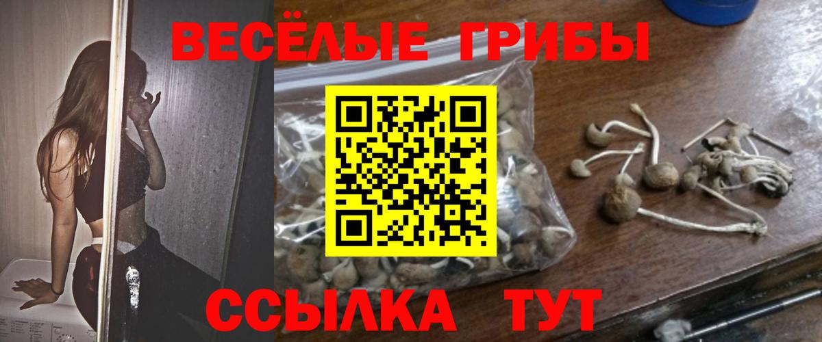 Саранск  Псилоцибиновые грибы прущие грибы  Галлюциногенные грибы GOLDEN TEACHER  Вход с VPN 